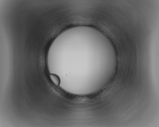 X0000110710642200906121056