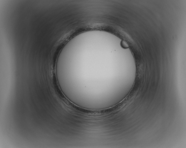 X0000110710644200906121056