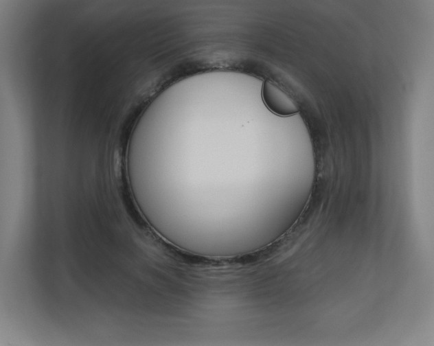 X0000110710646200906121056