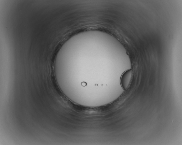 X0000110710655200906121057
