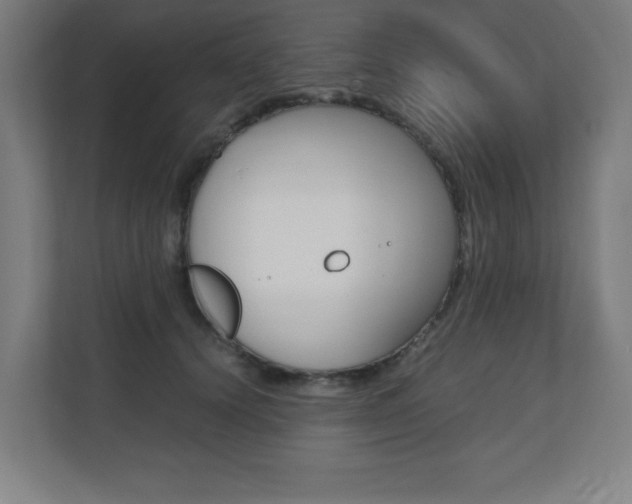 X0000110710656200906121057