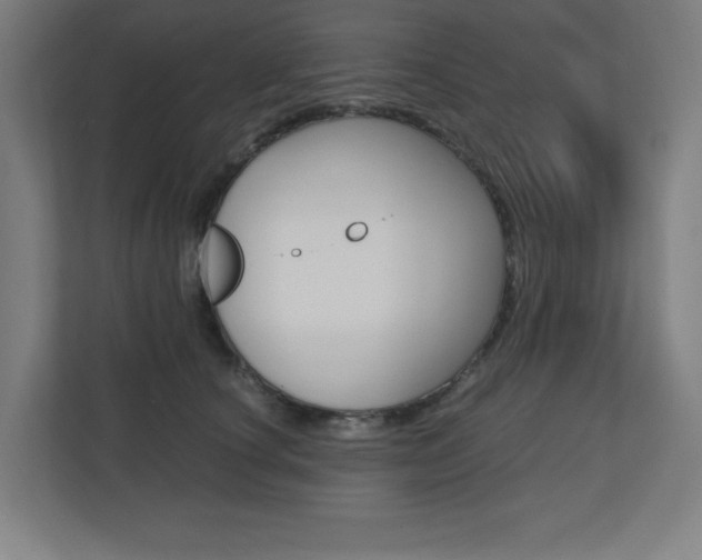 X0000110710660200906121057
