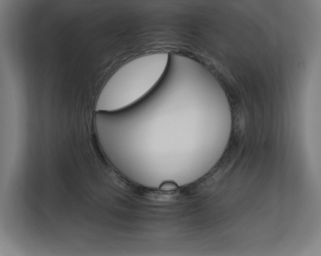 X0000110710661200906121057