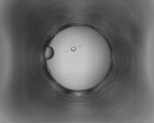 X0000110710662200906121057