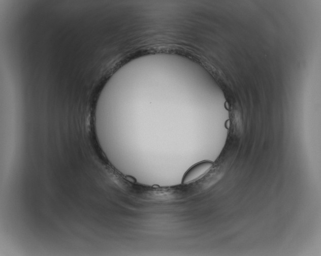 X0000110710668200906121057