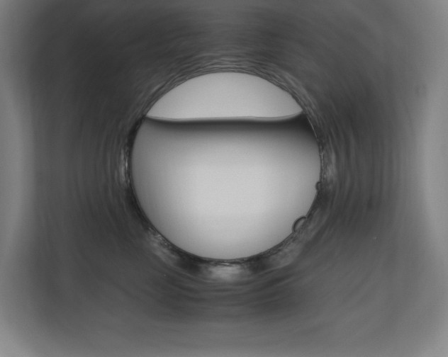 X0000110710669200906121057