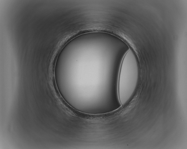 X0000110710673200906121056