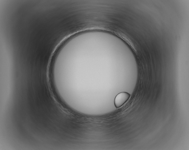 X0000110710676200906121056