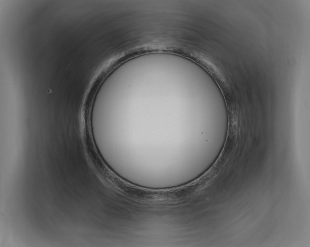 X0000110710678200906121056