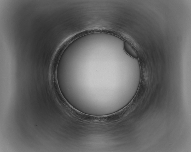 X0000110710680200906121056