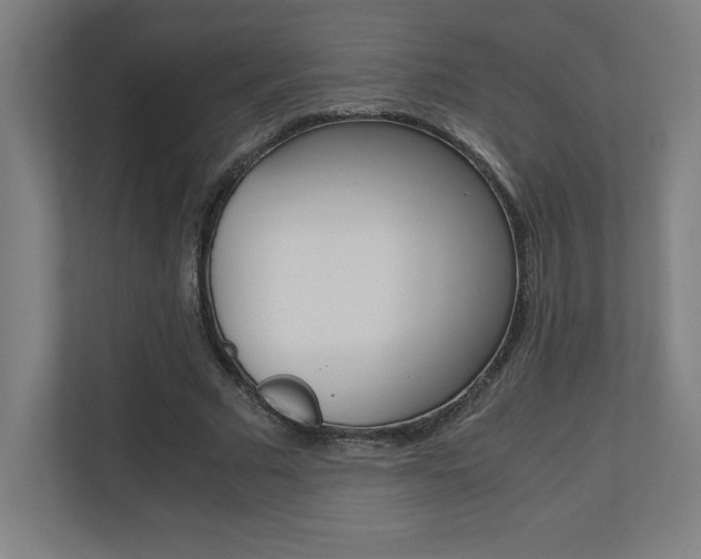 X0000110710681200906121056