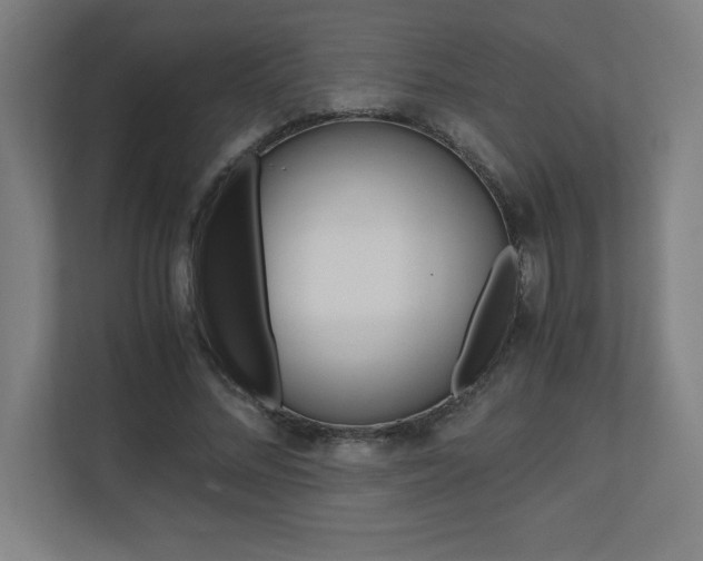 X0000110710684200906121056