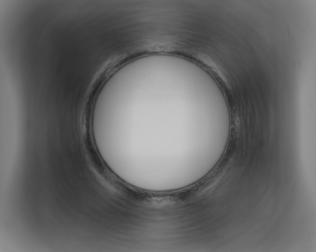 X0000110710686200906121056