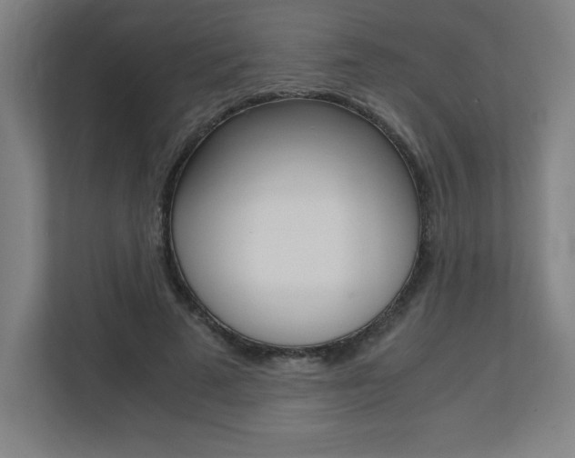 X0000110710689200906121056