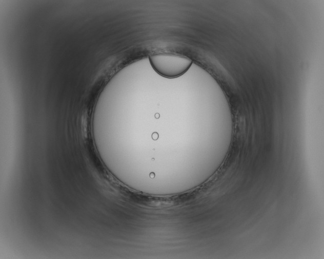 X0000110710694200906121056