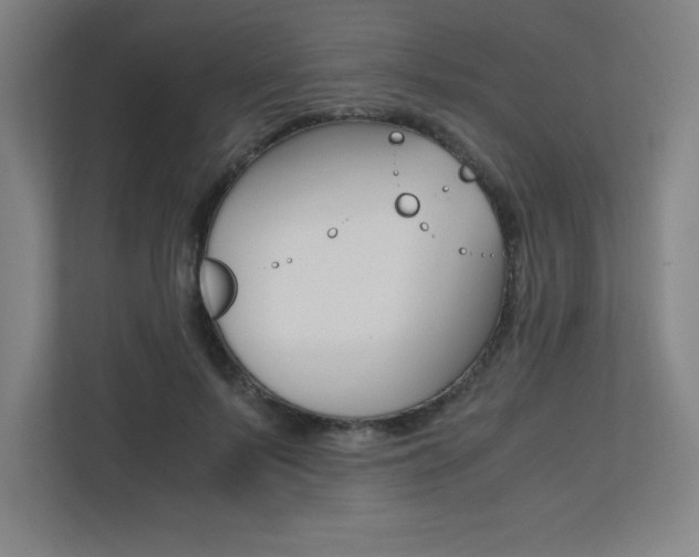 X0000110710695200906121056