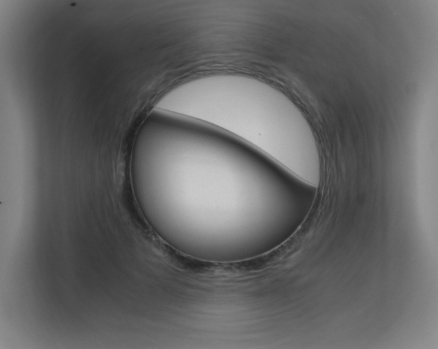 X0000110710697200906121056