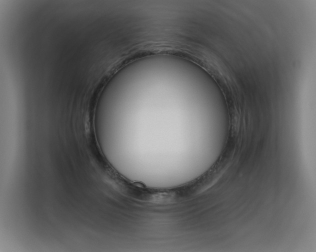 X0000110710700200906121056