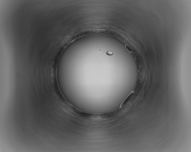 X0000110710704200906121056