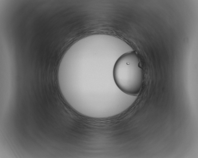 X0000110710708200906121056