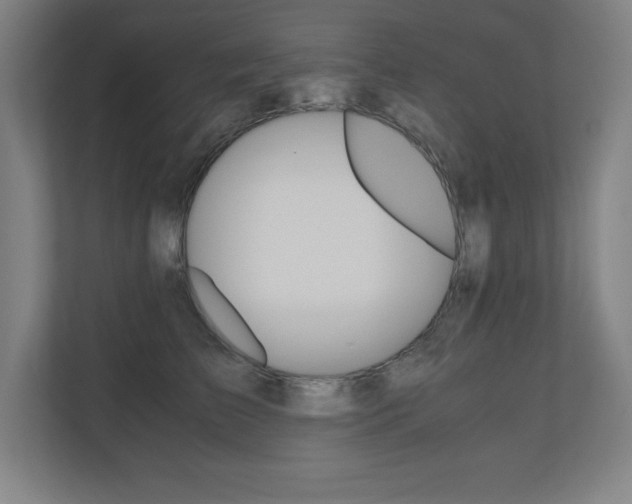 X0000110710709200906121056