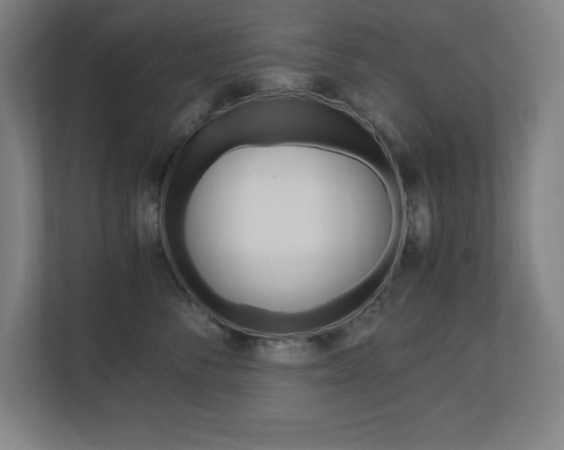 X0000110710716200906121056