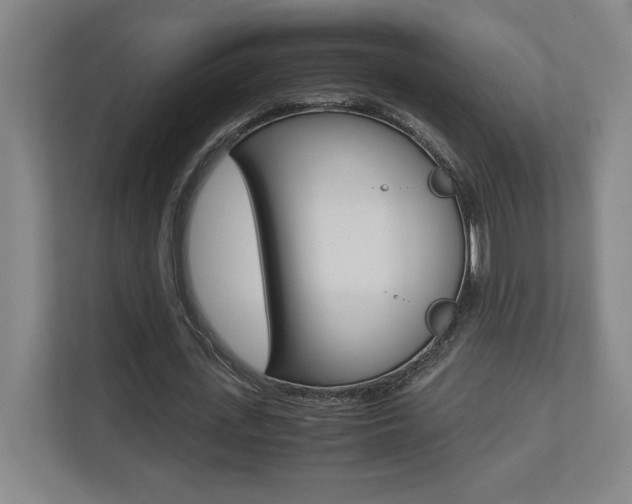 X0000110710723200906121055