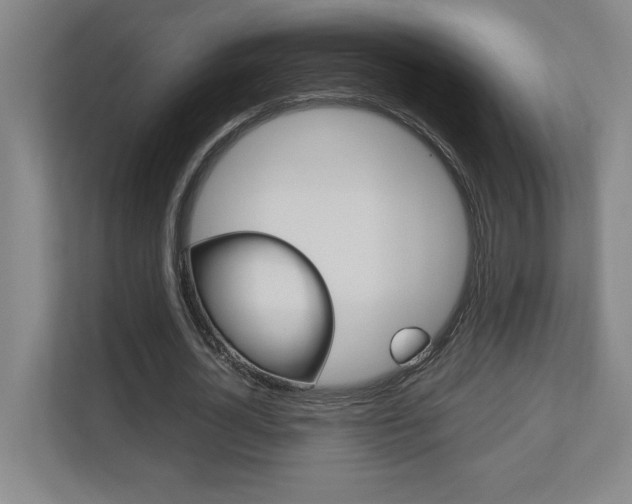 X0000110710724200906121055