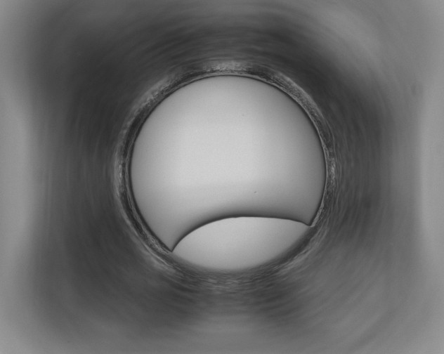 X0000110710725200906121055