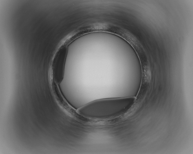 X0000110710726200906121055