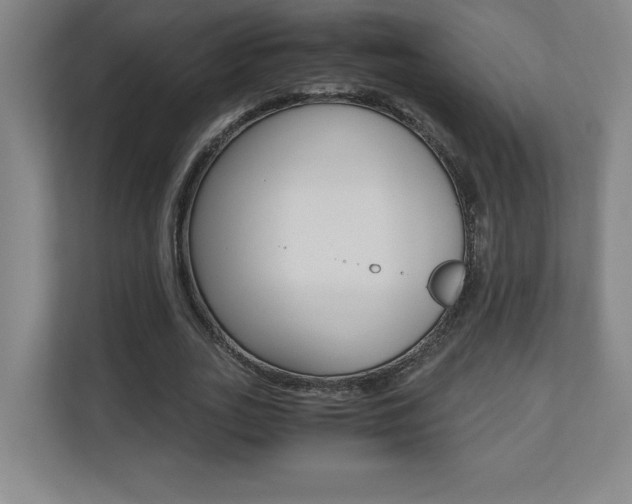X0000110710727200906121055