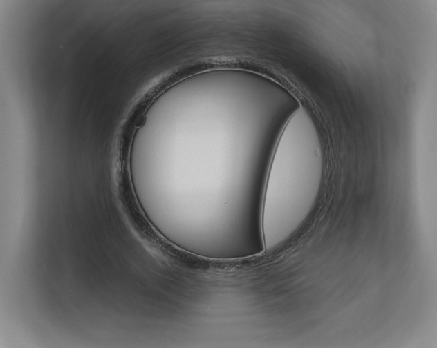 X0000110710728200906121055