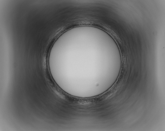 X0000110710729200906121055