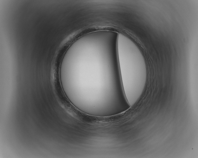 X0000110710732200906121055