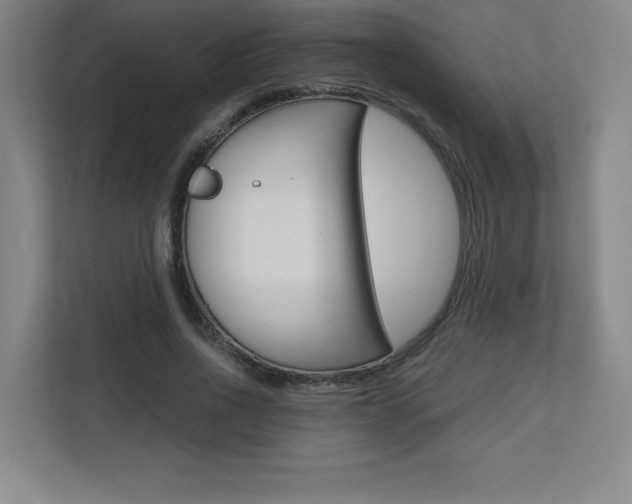 X0000110710734200906121055
