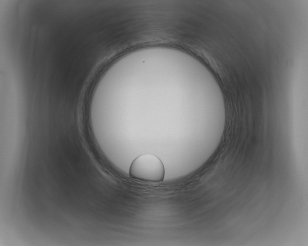 X0000110710736200906121055