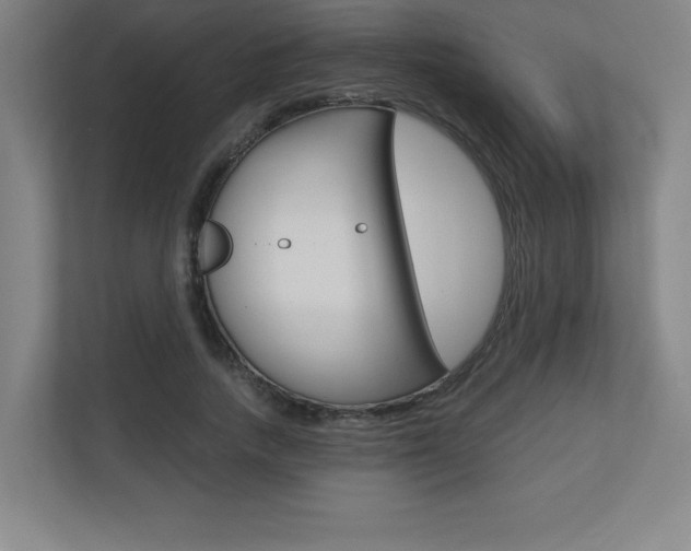 X0000110710738200906121055