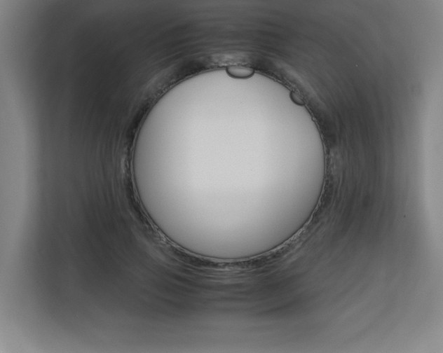 X0000110710741200906121055