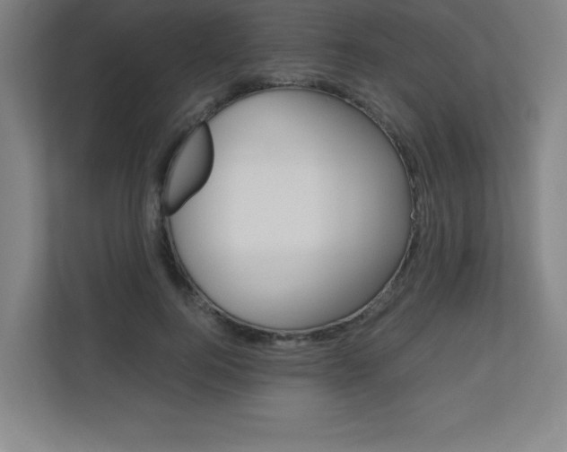 X0000110710744200906121055
