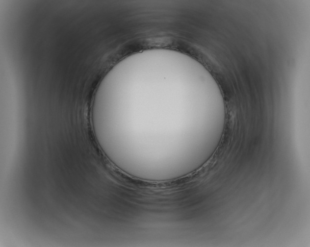X0000110710745200906121055