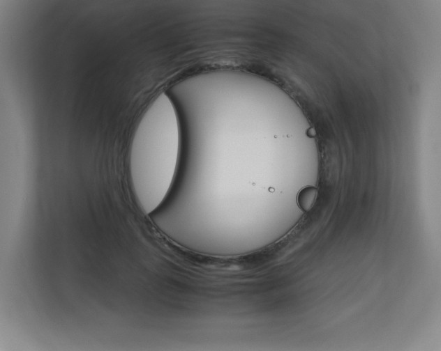 X0000110710747200906121055