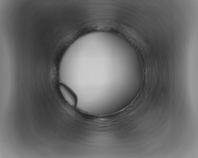 X0000110710748200906121055
