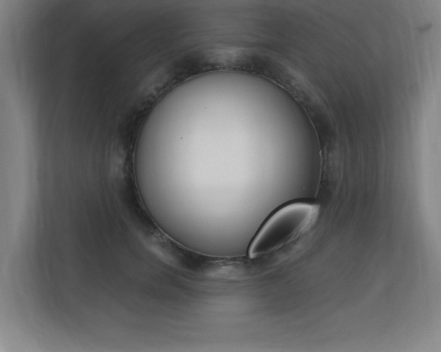 X0000110710750200906121055