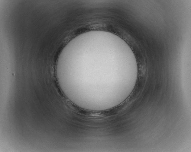 X0000110710753200906121055