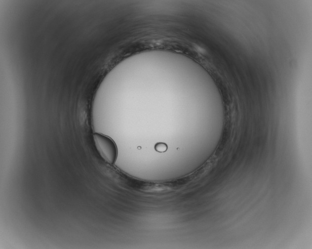 X0000110710754200906121055