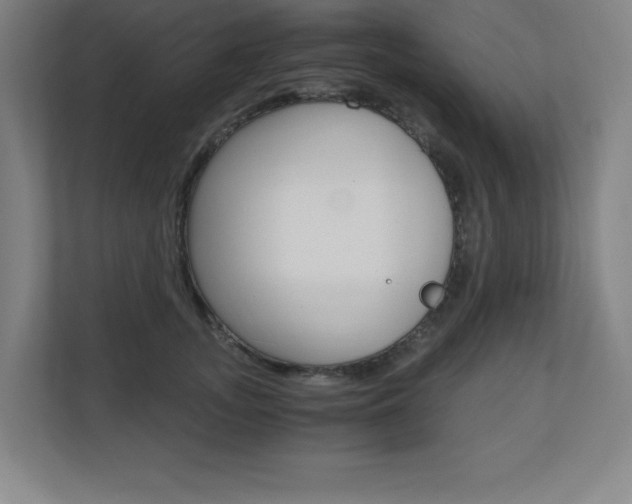 X0000110710755200906121055