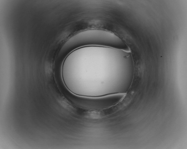 X0000110710756200906121055