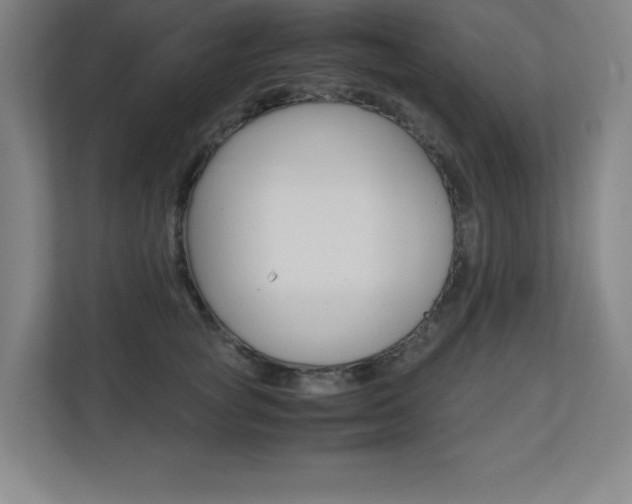 X0000110710757200906121055