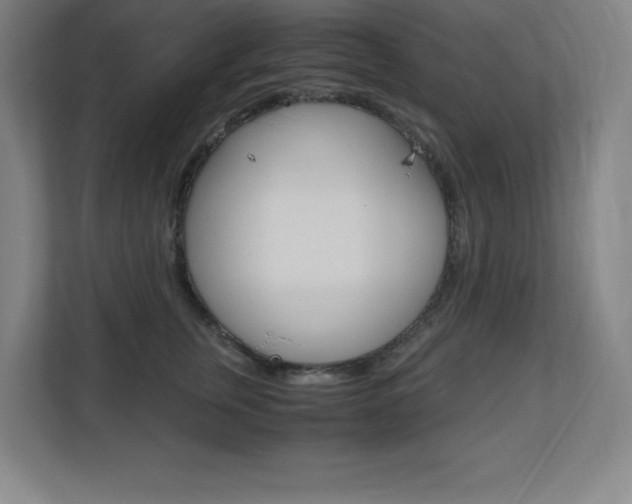 X0000110710759200906121055