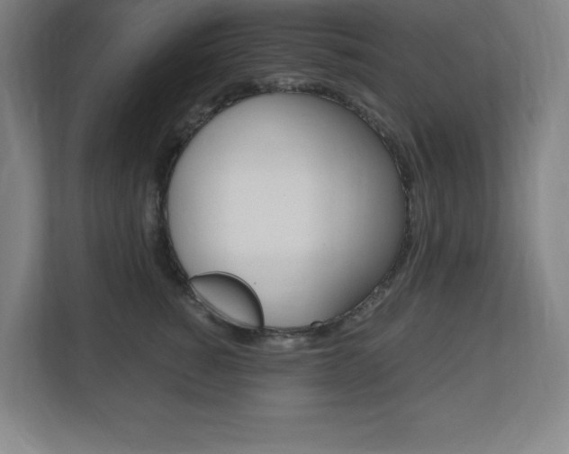 X0000110710760200906121055